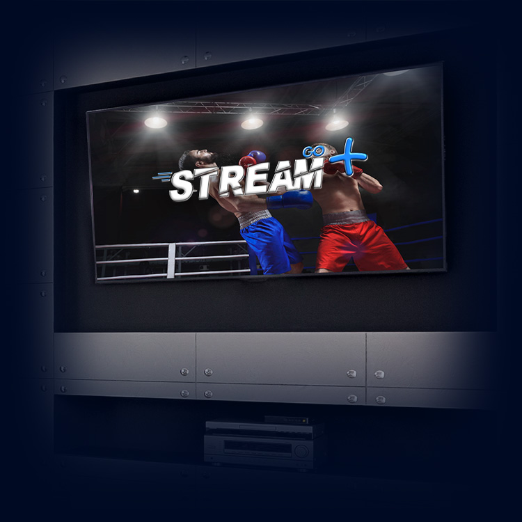 StreamGo Plus IPTV Programming